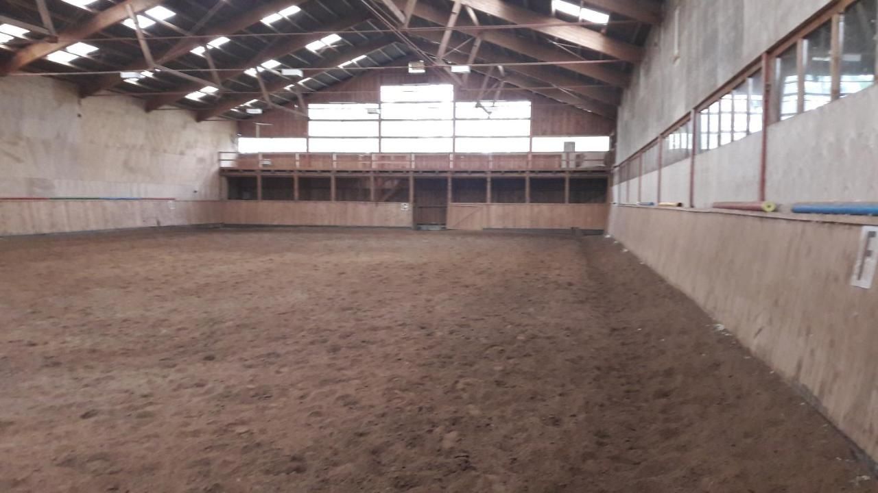 Отели типа «постель и завтрак» Liivaku stables Kivilõppe-12